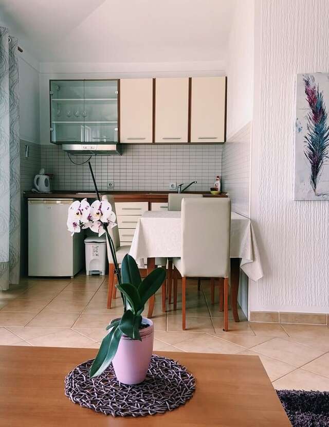 Апартаменты Apartments Hollaj Улцинь-8